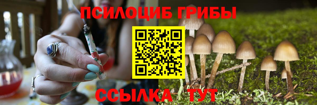 Псилоцибиновые грибы Psilocybine cubensis  Псилоцибиновые грибы мухоморы  Вход с VPN  Отрадное 